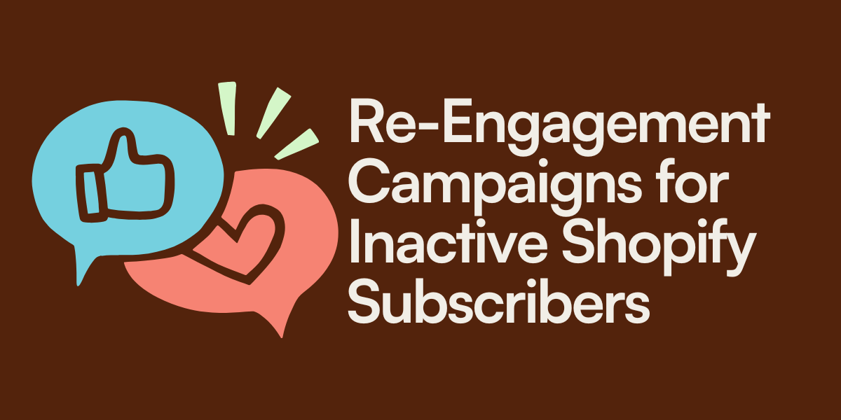 Re-Engagement Campaigns for Inactive Shopify Subscribers